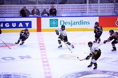 IMG_6745