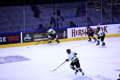 IMG_6750
