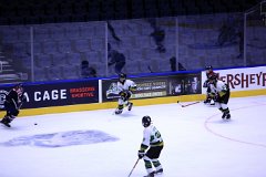 IMG_6751