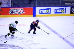 IMG_6767