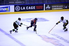 IMG_6768