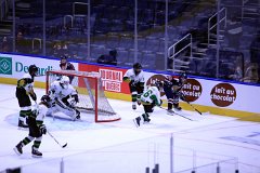 IMG_6772