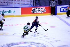 IMG_6785