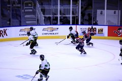 IMG_6831