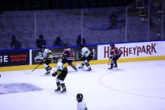 IMG_6833