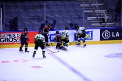 IMG_6835