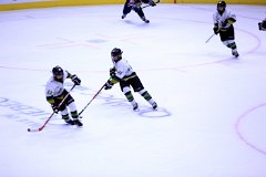 IMG_6848