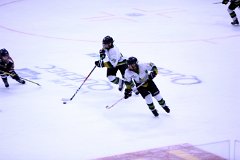 IMG_6849