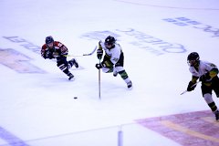 IMG_6850