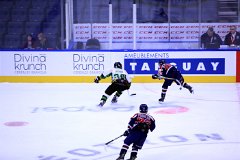 IMG_6858