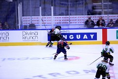 IMG_6859