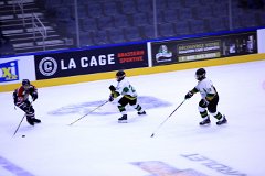 IMG_6867