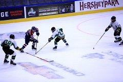 IMG_6868