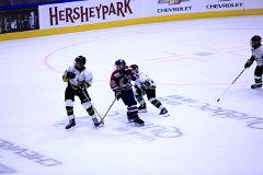 IMG_6869
