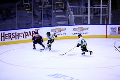 IMG_6874