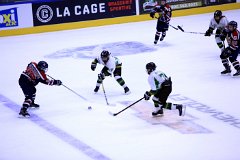 IMG_6877