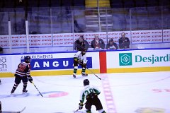 IMG_6896