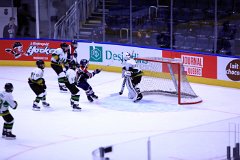IMG_6919