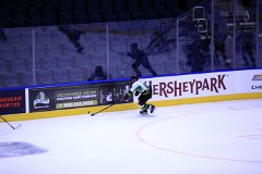 IMG_6920