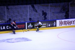 IMG_6921