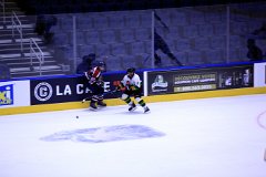 IMG_6922