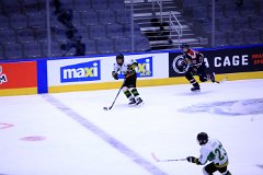 IMG_6924