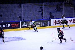 IMG_6946