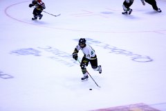 IMG_6958