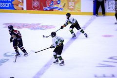 IMG_7001
