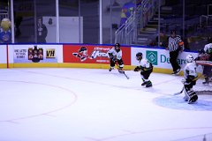 IMG_7011