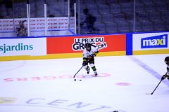 IMG_7015