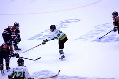IMG_7018