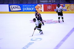 IMG_7022