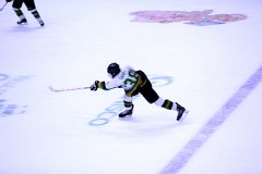 IMG_7031