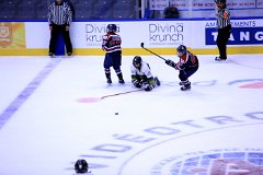IMG_7039