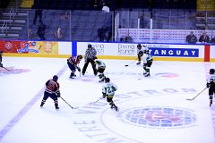 IMG_7040