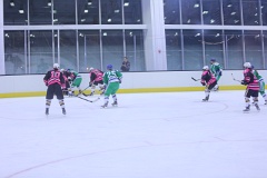 4L4C1761