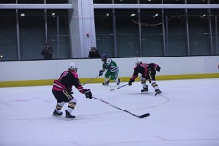 4L4C2010