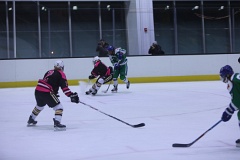 4L4C2011