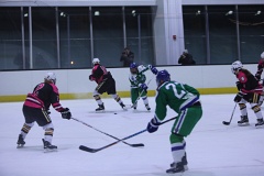 4L4C2013