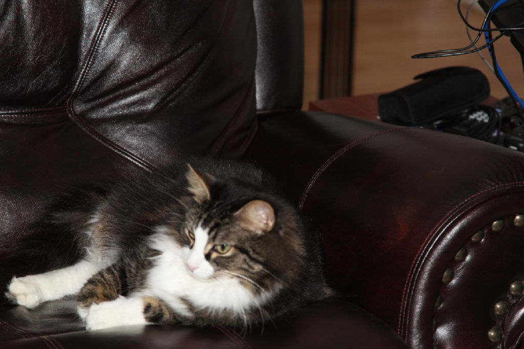 C5D_029688.JPG