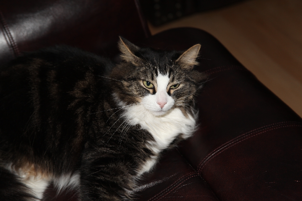 C5D_029699.JPG