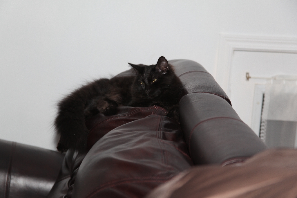 C5D_029730.JPG