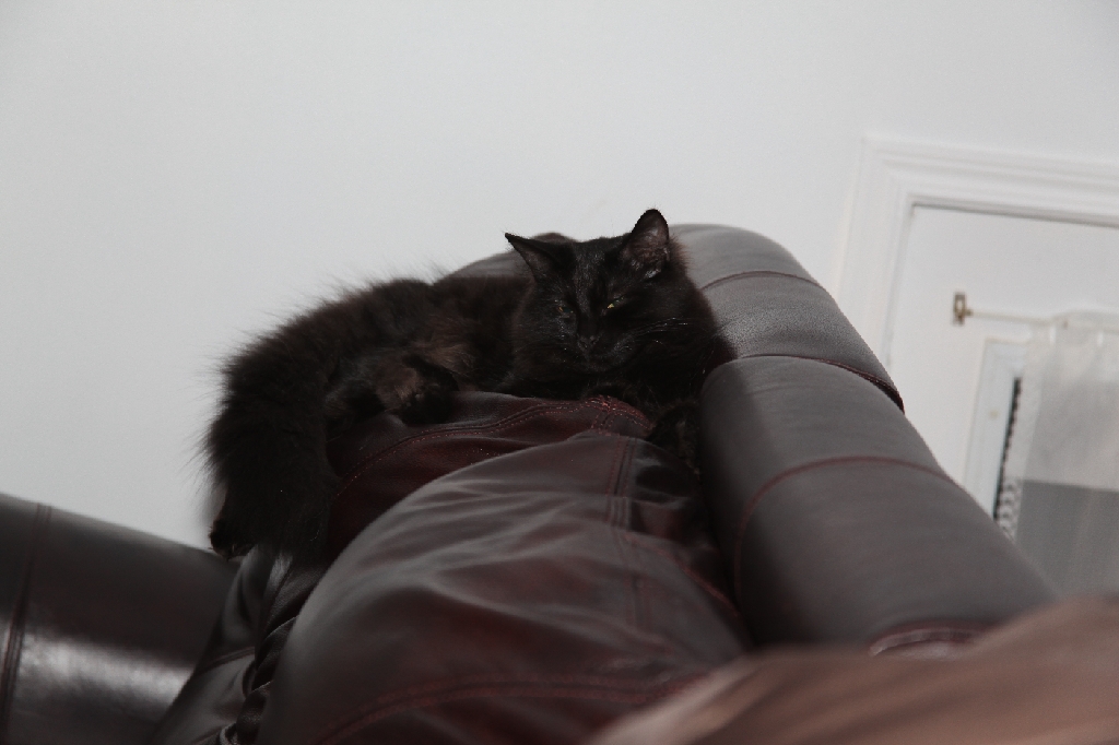 C5D_029731.JPG