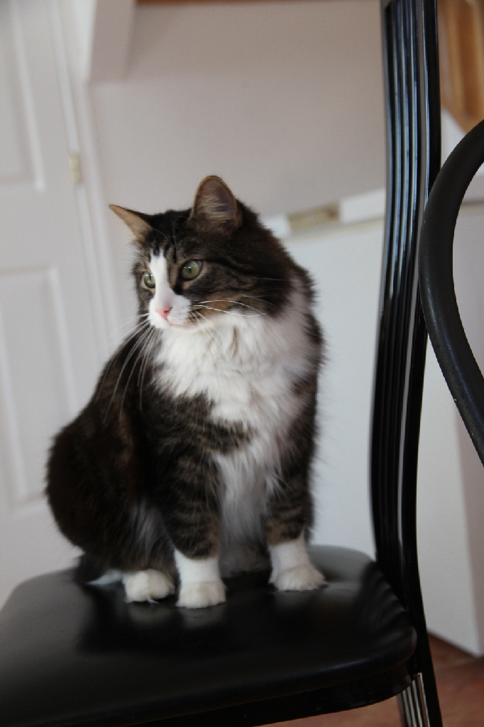 C5D_029648.JPG