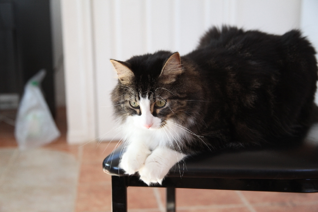 C5D_029649.JPG