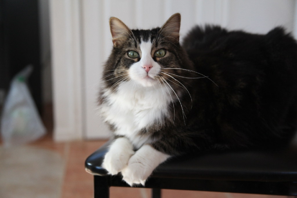 C5D_029650.JPG