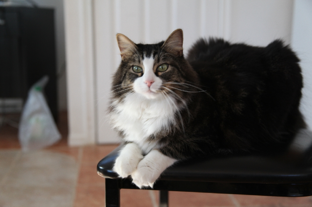 C5D_029651.JPG