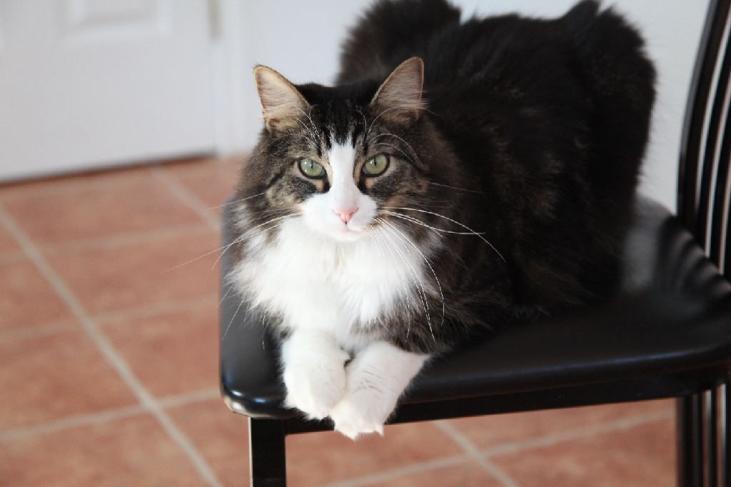 C5D_029652.JPG