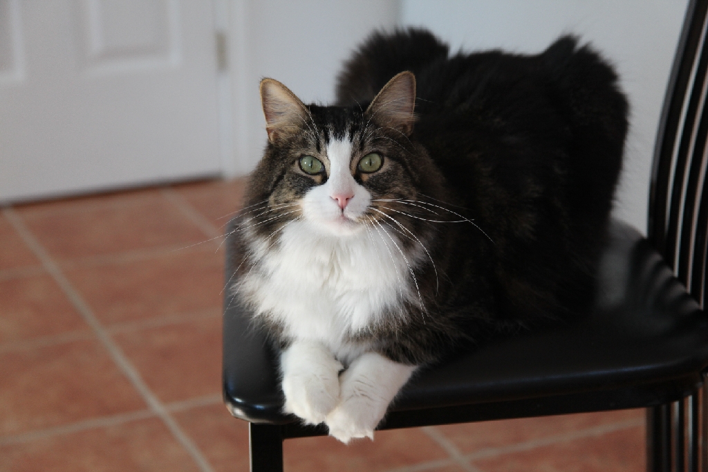 C5D_029653.JPG